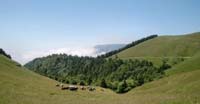 Alpeggio presso Malga Mont