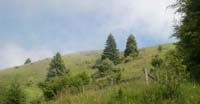 Monte Salvedella 