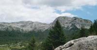 Il Colsent
