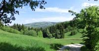 I prati sommitali del Col Campeggia 