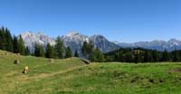 Il Col dei Buoi. Sullo sfondo: Croda di Ligonto, Cima d'Ambata, Croda da Campo e Aiarnola 