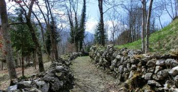 Lungo il sentiero di Sott'Anzas 