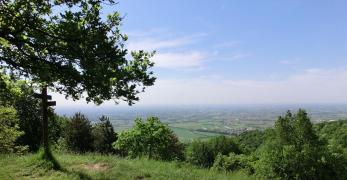 Panorama dalla vetta del Monte Sulder 