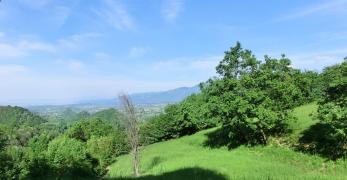 Prateria rigogliosa lungo il sentiero 