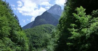 Il Torrente Vajont 