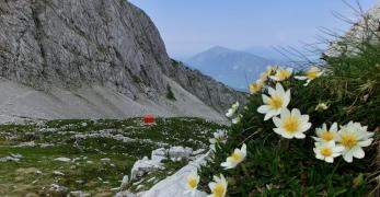 Il Bivacco Toffolon sotto Forcella Antander 