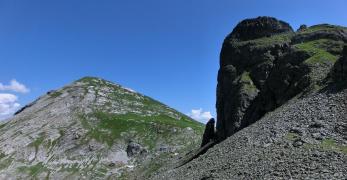 Il Monte Alto Auta 