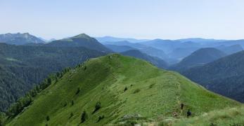 Il Monte Coston