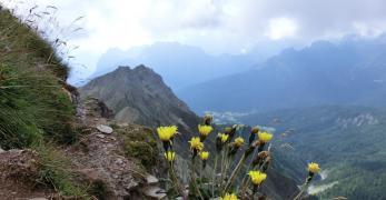 Solitario…