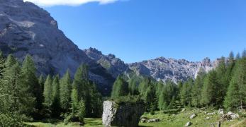 Il pascolo di Casera Val dell’Inferno