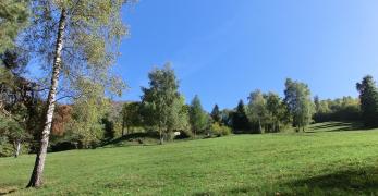 Ripiano prativo alle falde del Monte Zogo
