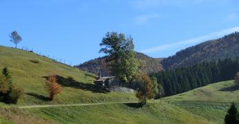Piccola casera alle falde del Monte Zogo