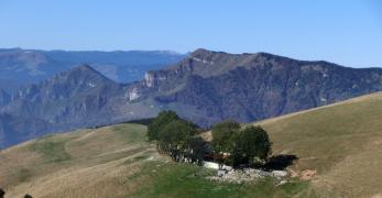 Malga Doc. Sullo sfondo, il Monte Santo