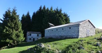 Malga Doc Bassa (Casera Val de Fora)