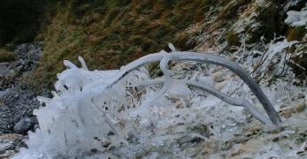 Scultura di ghiaccio