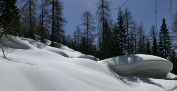Giochi di neve