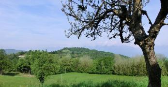 Pranolz
