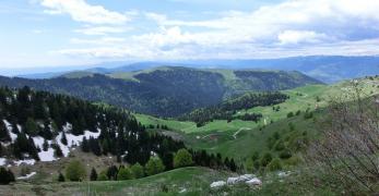 La Val del Busetto