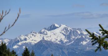 Cima d’Asta