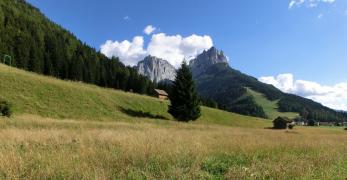 I Prati di Pozza di Fassa. Sullo sfondo, la  Cima delle Undici e la Cima delle Dodici 