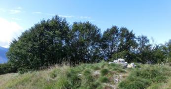 La vetta del Monte Sassumà