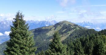 Il Monte Tomatico