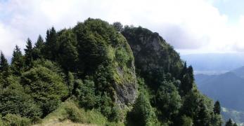 Il Monte Paoda