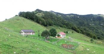 Stalle di Paoda