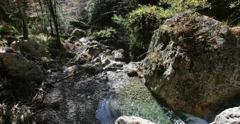 La forra del Torrente Cerosolin