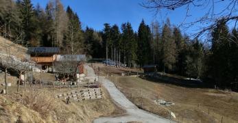 I prati di Pozzale di Cadore