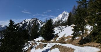 In discesa verso Forcella Antracisa