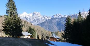 I prati di Pozzale di Cadore