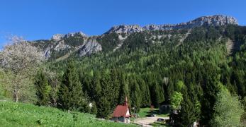 Col di Le Ei e versante settentrionale del Monte Coppolo