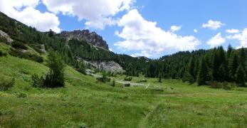Il Pian de la Casera Vecia
