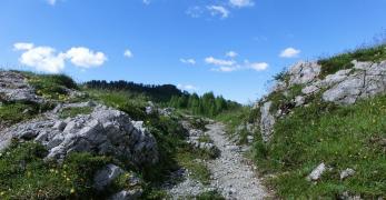 Forcella della Lama