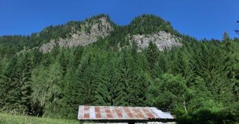 La radura di Malga Torcol