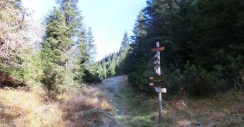 Forcella Pongol
