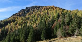 Il Monte Zelo da Forcella Folega 