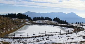 Pozza d’alpeggio. Sullo sfondo, il massiccio del Monte Grappa