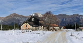 Malga Campon. Sullo sfondo, le Vette Feltrine con al centro il Monte Pavione