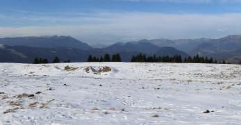 I pascoli di Malga Campon