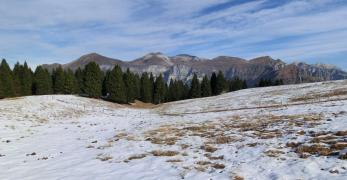 Le Vette Feltrine dai pascoli di Malga Campon