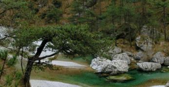 Le acque del Torrente Meduna