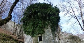 Frassaneit di Sopra