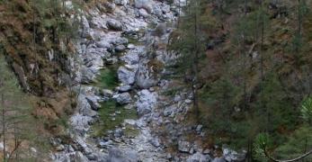 Il corso del Torrente Meduna