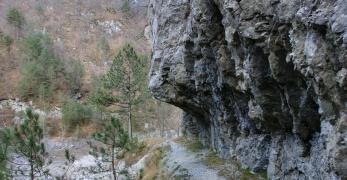Il sentiero verso l’imbocco della Val Curta