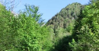 Salti d’acqua lungo il Torrente Inglagna