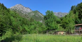 Praterie a Inglagna