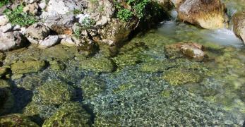 Le acque del Torrente Inglagna