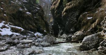 La forra lungo il Ru di Palcoda
